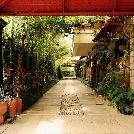 The Green Path Eco Hotel Bengalúr Exteriér fotografie